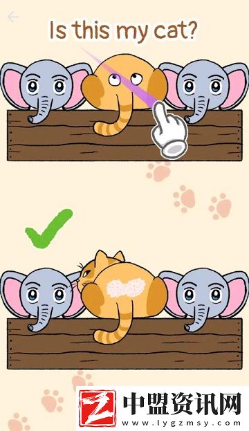 尋找我的喵