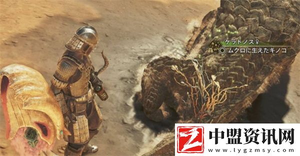 怪物獵人荒野冬龍夏草如何獲取