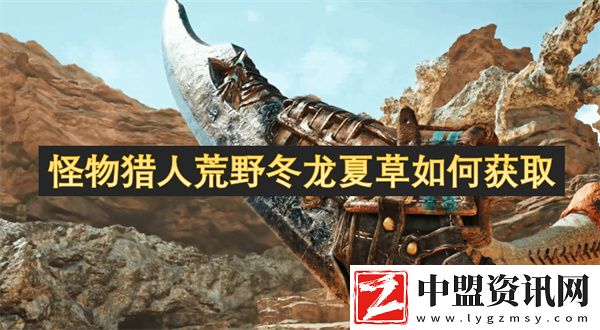 怪物獵人荒野冬龍夏草如何獲取