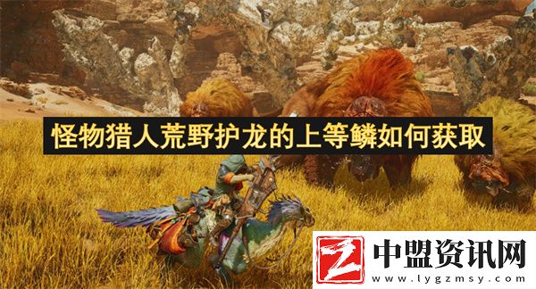 怪物獵人荒野護龍的上等鱗如何獲取
