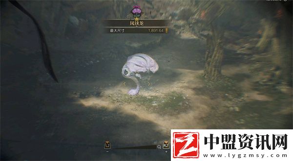 怪物獵人荒野刷大小金方法