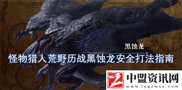 怪物獵人荒野歷戰(zhàn)黑蝕龍安全打法指南