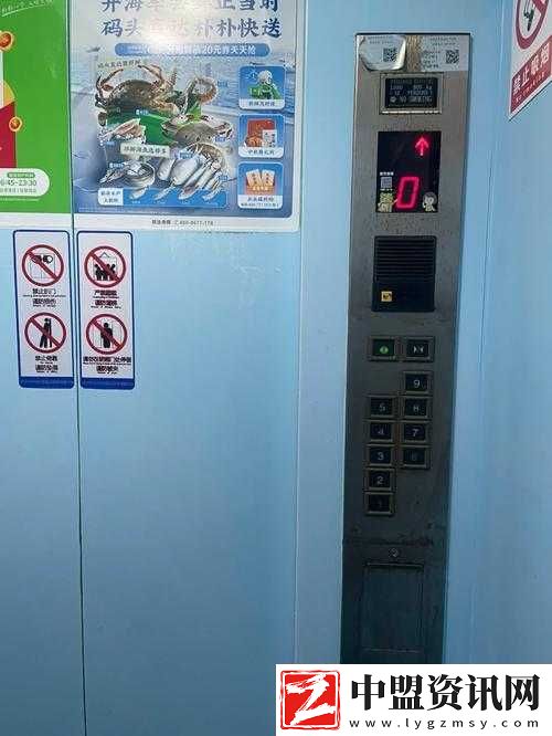 一百層電梯第二十九關(guān)過(guò)關(guān)攻略詳細(xì)解讀