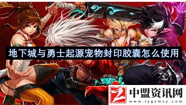 地下城與勇士起源寵物封印膠囊怎么使用