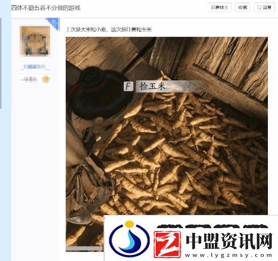 燕云十六聲再出離譜文案BUG