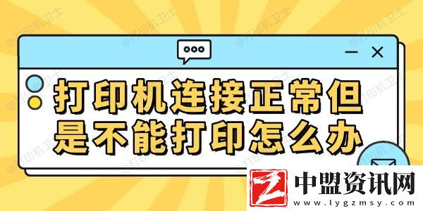 打印機(jī)連接正常但是不能打印怎么辦-常見的解決方法