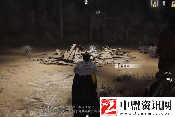燕云十六聲問渠幾許任務怎么做