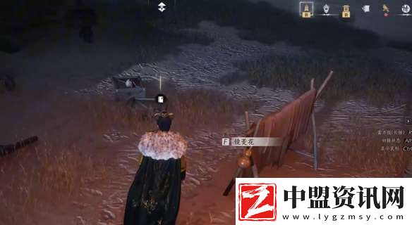 燕云十六聲問渠幾許任務怎么做