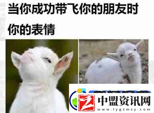 當(dāng)你成功帶飛你的朋友時(shí)表情包