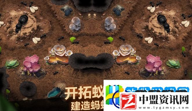 小小蟻國未知地區(qū)怎么解鎖區(qū)域解鎖要求是什么