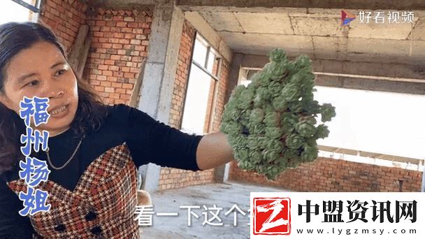 大肉大捧一進(jìn)一出好爽MBA上線
