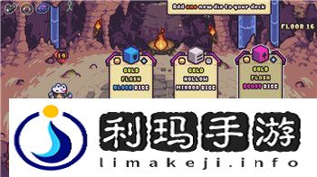 荒野之息武器太多放哪里的有效管理與合理使用策略