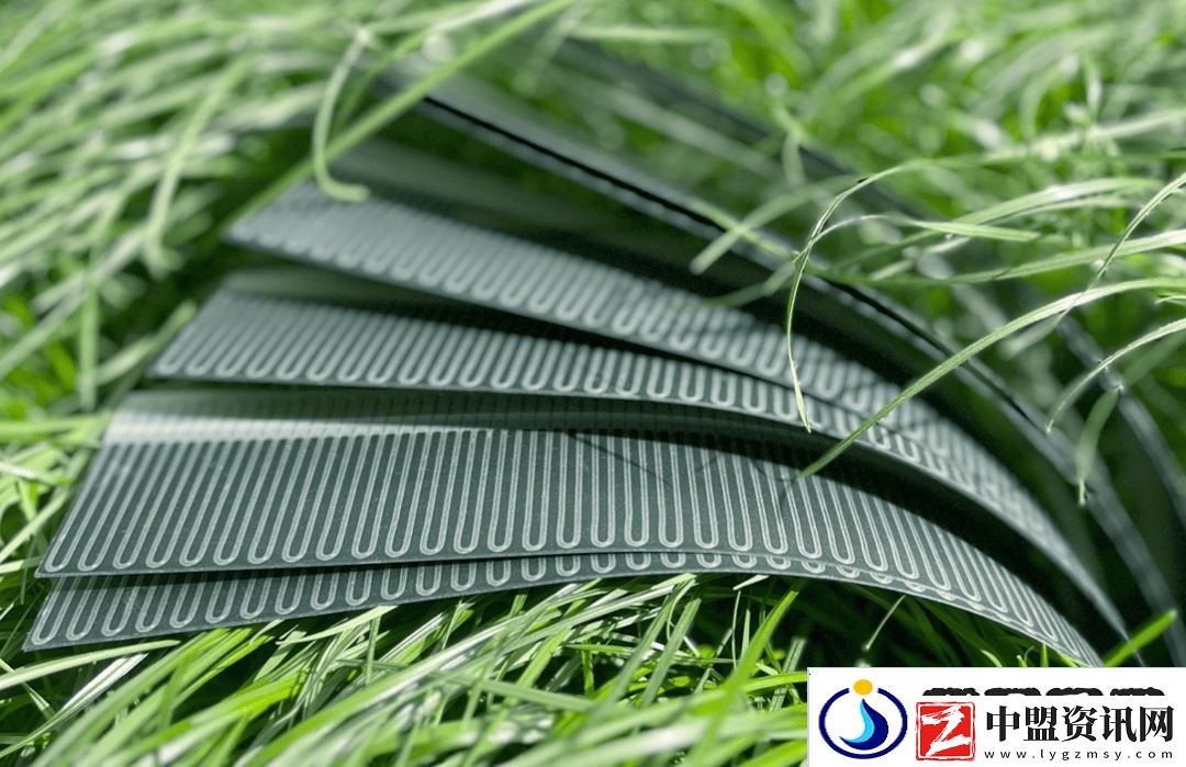 我國(guó)柔性鈣鈦礦CIGS疊層電池效率破紀(jì)錄-光電轉(zhuǎn)換達(dá)23.8%